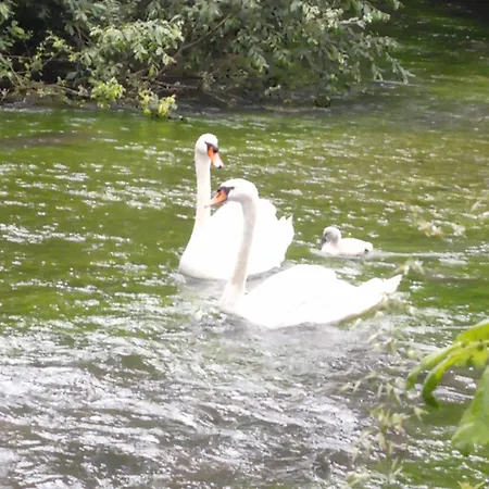 Le Charme Au Fil De L'eau 3*